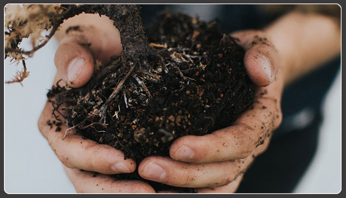 6 tips on how to compost while avoiding flies, odours, and more!