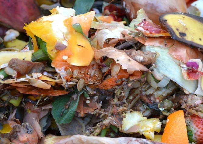 Why Wal-Mart Committing to zero Food Waste is a Huge Victory