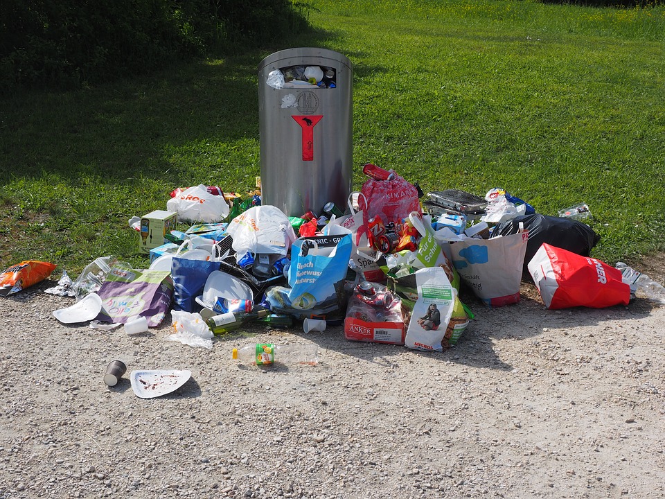 Canadians are Creating more Waste and We Don’t Know What to Do about It