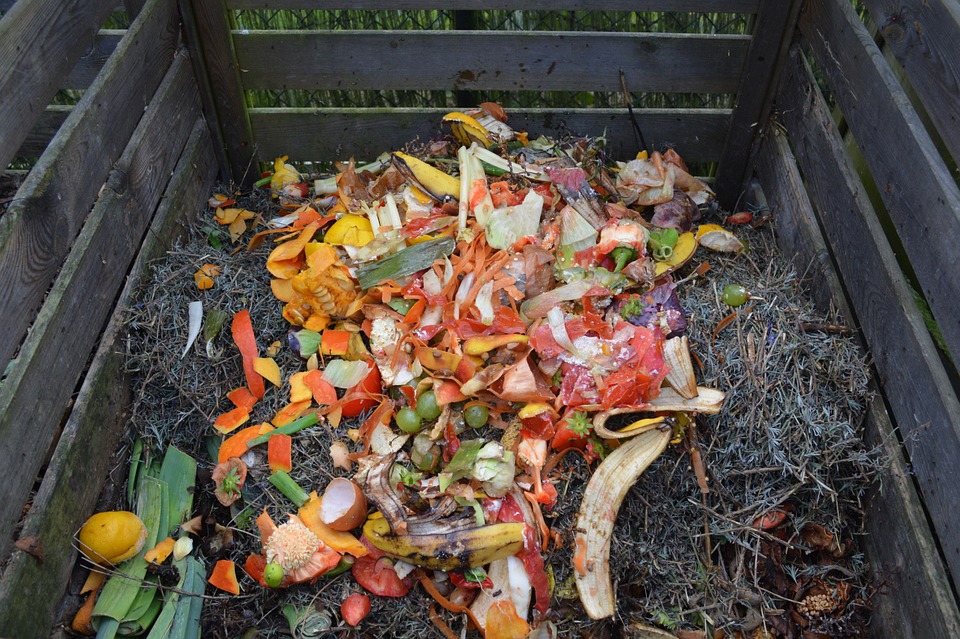 Canada Wasting up to $31 Billion in Food Waste every Year