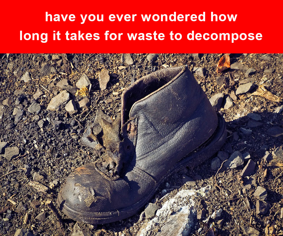 Have you Ever Wondered How Long it Takes for Waste to Decompose