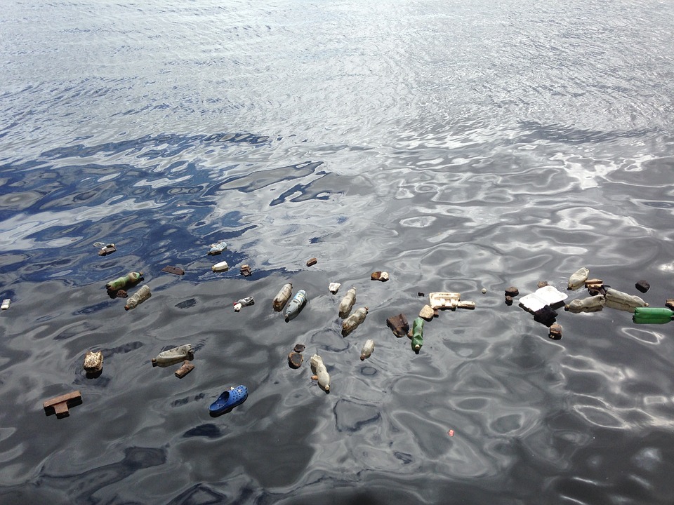 By 2050, There Could be more Plastic than Fish in our Oceans