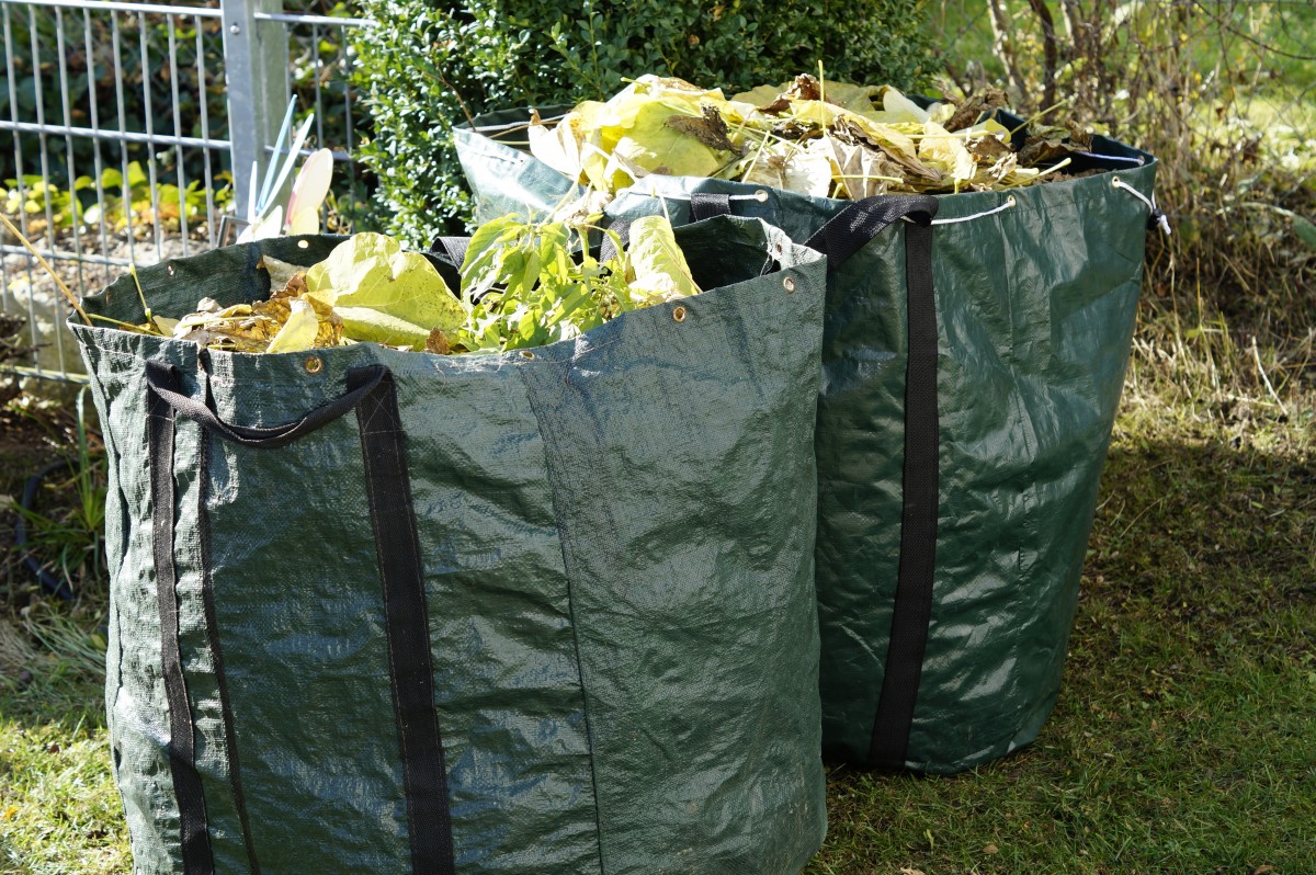What Can you Do with Yard Waste in Toronto – read here