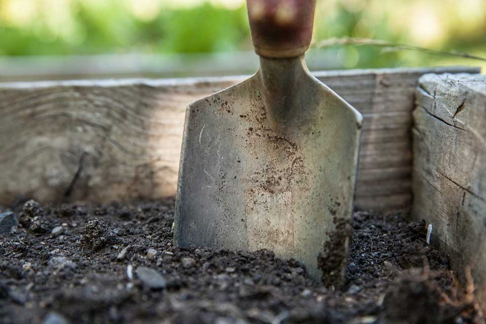 What Are the Differences Between Organic Topsoil and Non-Organic Topsoil