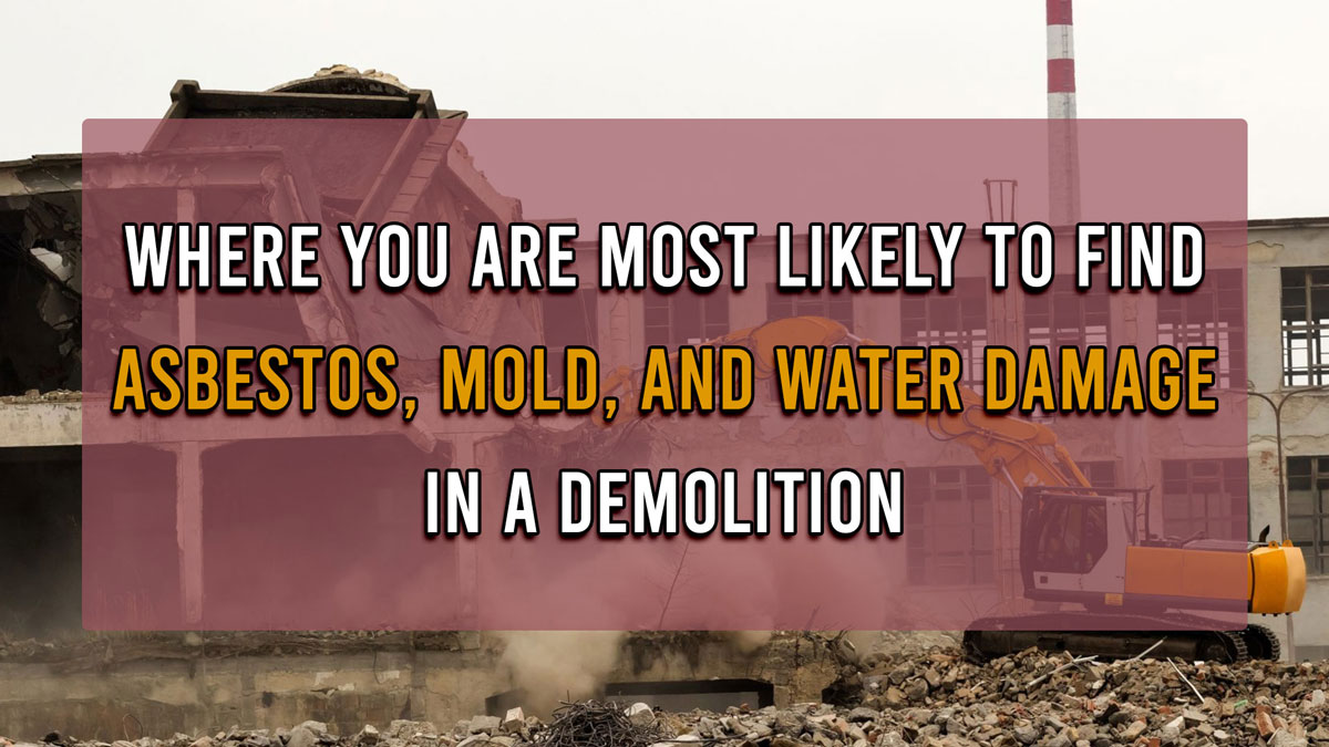 Where You Are Most Likely to Find Asbestos, Mold, and Water Damage in a Demolition
