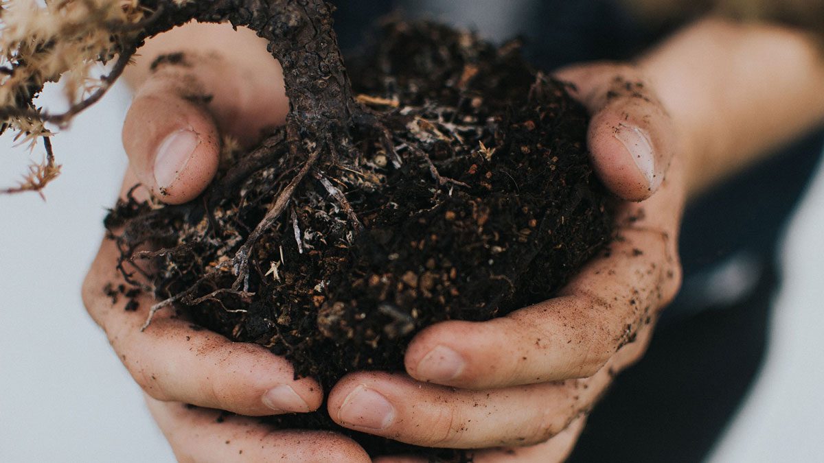 What is Topsoil – Benefits, Uses, and Advantages