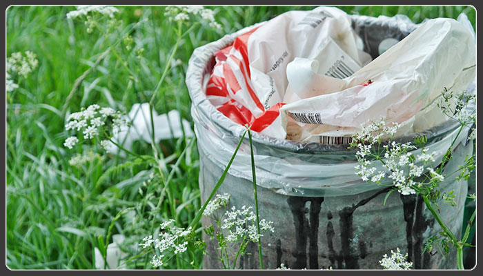  Dumping Waste into Recycling Bins