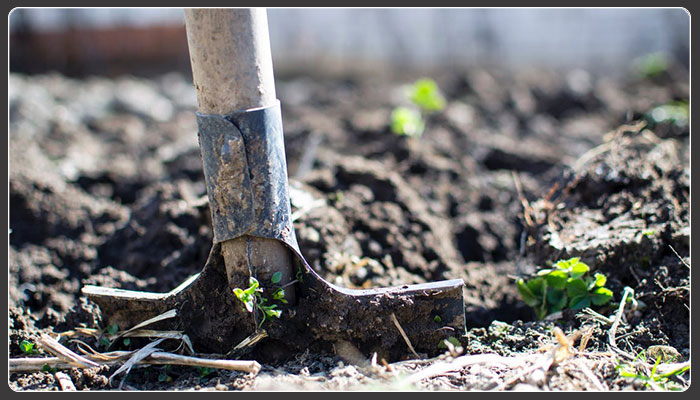 How Toronto can solve its organic waste problem