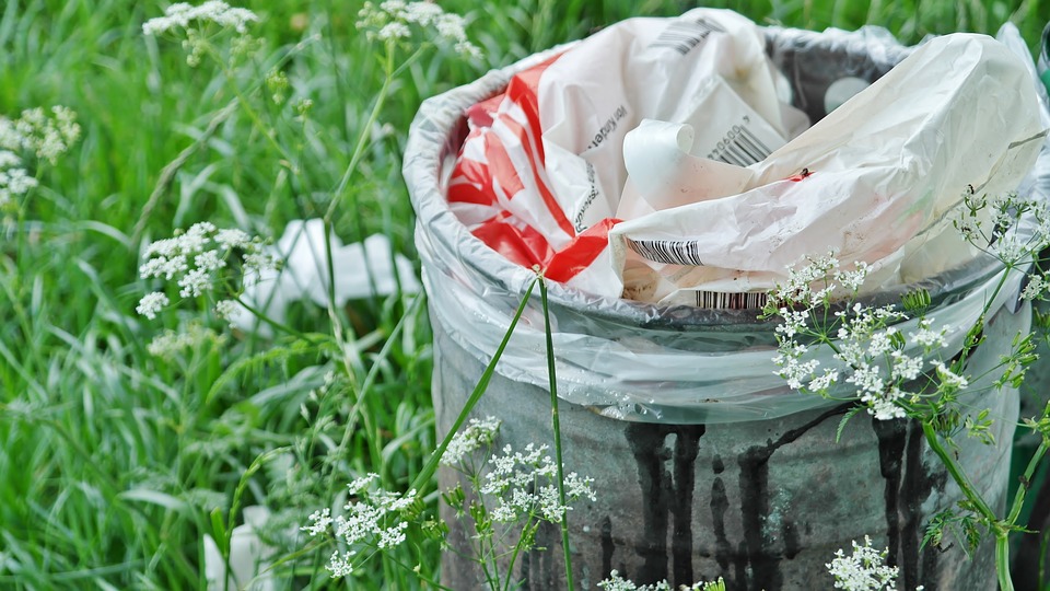 Plastic Recycling seeing an Increase across Canada and Internationally