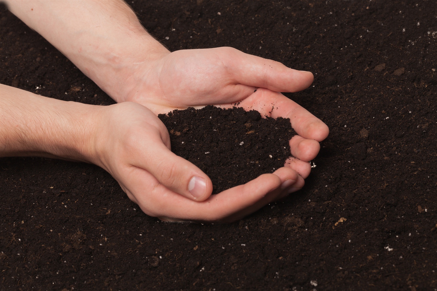 Why I Need Screened Topsoil