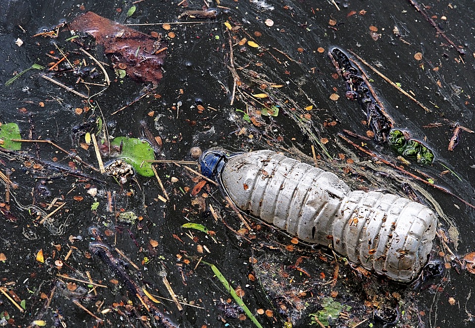 Lake Ontario is being Polluted with so Much of our Waste and it’s Time to Change