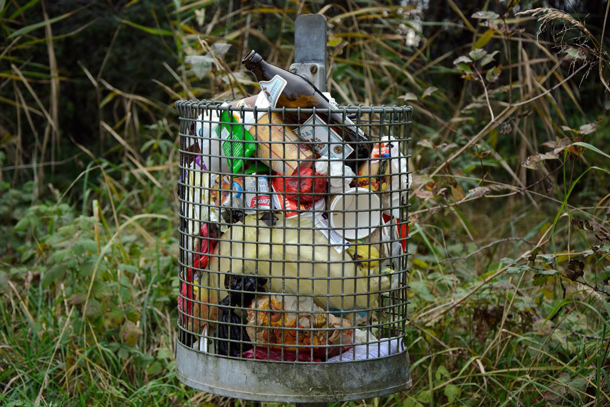 What are Zero Waste Grocery Stores and how they can help your Household Waste Come Down