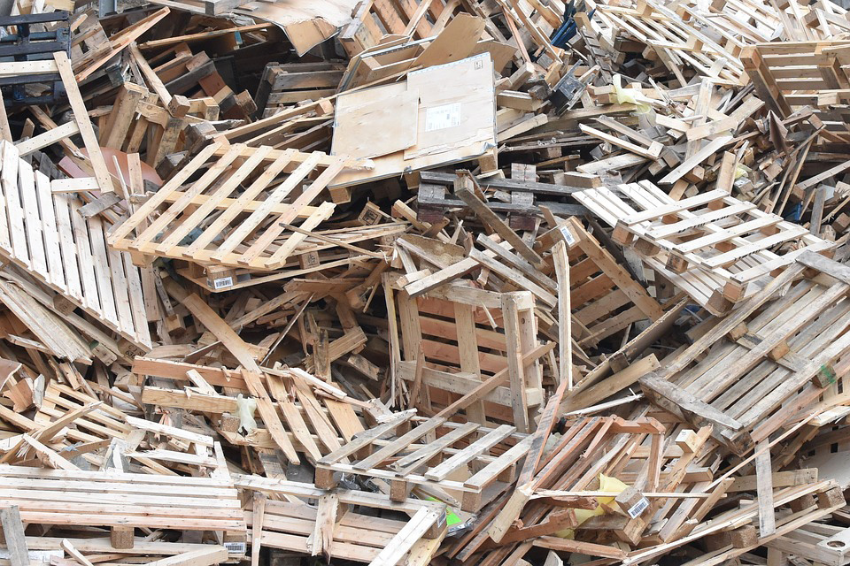 Where Does Wood Go? Find Out What Happens to Toronto’s Urban Wood Waste