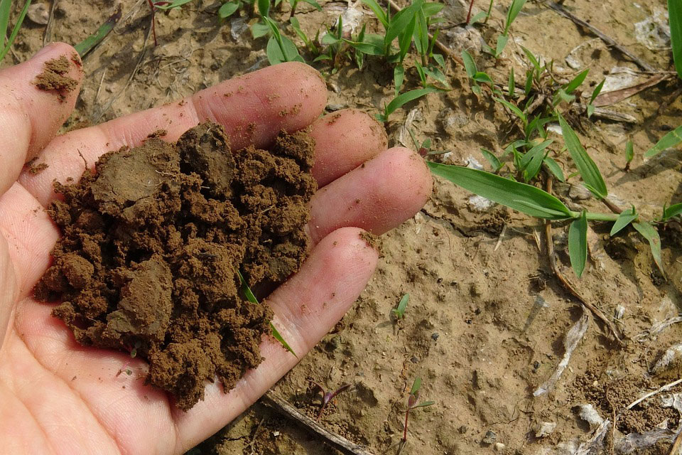 How Anyone Can Compost in Toronto – Saving Landfill Space and Reducing Waste